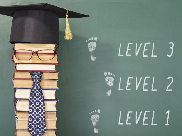 School & College Level